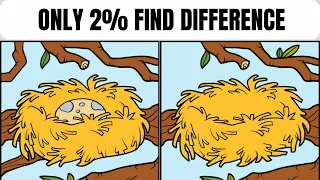 Spot The Difference : Only Genius Find Differences 83 #findthedifference #findthedifferencegame