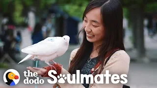 Loyal Pigeon Travels Everywhere With Her Mom | The Dodo Soulmates