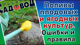 ПОЛИВЫ ПЛОДОВЫХ И ЯГОДНЫХ КУЛЬТУР. Ошибки и правила