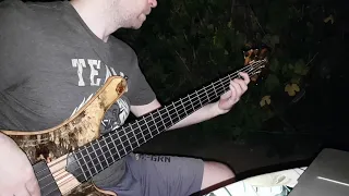 HI-FI Черный ворон, bass cover