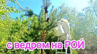 Расширение лесной пасеки! ПЧЕЛОВОДСТВО!