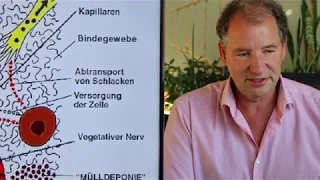 Elektrosmog und Wasserstoffbrückenbindungen