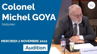 Audition de Michel Goya : quelles leçons tirer de la guerre en Ukraine ?