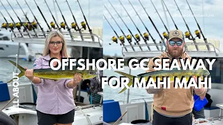 Deep Sea Fishing for Mahi Mahi - Gold Coast Seaway