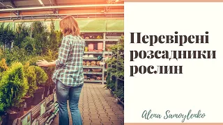 Де купувати рослини для саду?  Перевірені Розсадники та Садові Центри.