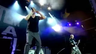 System of a Down - Sugar Live @ Reading Festival 2013 [Proshot]