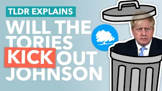 Tory Revolt: Could MPs Kick Johnson Out of Number 10? - TLDR News