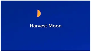 Harvest Moon - Poolside (Lyrics) English//Español