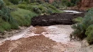 Large Flash Flood / Debris Flow Buckskin Wash / Gulch 2013