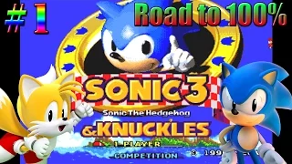 ¡Dos héroes por un Road to 100! ► Sonic 3 & Knuckles Loquendo | Episodio 1