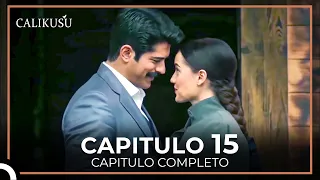 Calikusu Capitulo 15