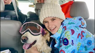 What happened to Karolina Protsenko's dog 🐶🐕  - Our Family Vacation ❤️