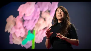 TED vietsub - The wonders of the molecular world, animated | Janet Iwasa