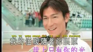 Andy Lau - Hai Ji De Wo Ma (Karaoke)