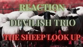 *REACTION* First Time Hearing Devilish Trio - The Sheep Look Up