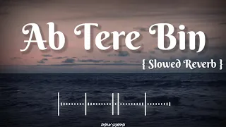 Ab Tere Bin Jilege Hum  Slowed Reverb Song | Aashiqui | Kumar Sanu | Rahul Roy | Annu Agarwal |