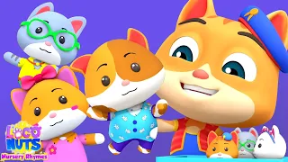 Kitty Finger Family - Meow Meow Song + More Nursery Rhymes for Kids