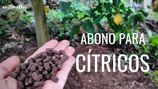 ABONO para CÍTRICOS ENFERMOS: qué hacer para que mejoren, CÓMO ABONAR  || en20metros