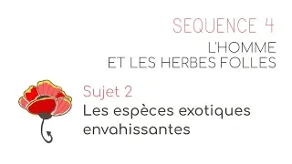 Séquence 4 sujet 2 : Les espèces exotiques envahissantes #HerbesFolles