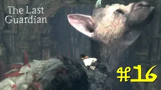 Green Mists | The Last Guardian, Part 16