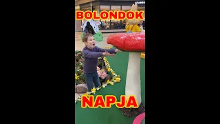 BOLONDOK NAPJA