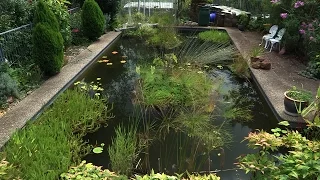 Building a Natural Pond from a Swimming Pool  - Ep 4