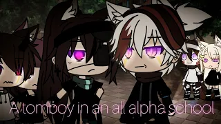 ~A tomboy in an all alpha school~ | GLMM - Gacha Life Mini Movie || PLEASE READ DESC.! | Gacha_Ibex