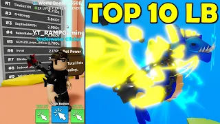 I Become TOP 10 LEADERBOARD PLAYER Using ONLY 1 PET in Clicker Simulator (Roblox)