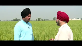 Farmer Speak About Supple Tek Basmati Rice Quality and Price