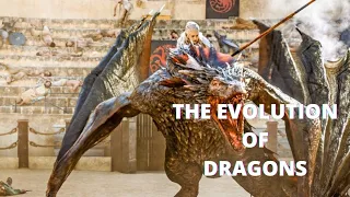 THE EVOLUTION OF DRAGONS - Game Of Thrones (Season 1-8)