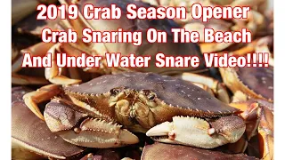 2019 Dungeness Crab Season Opener/ How to Catch Dungeness Crab / Under Water Go Fish Cam Video