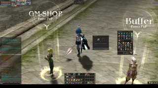 euro-pvp x1200 top life stone