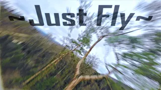 Just Fly: Dusting off the 5-inch | FPV Freestyle