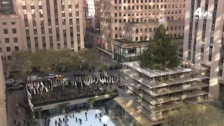 2022 Rockefeller Center Christmas Tree Reveals Itself Before Lighting Ceremony | NBC New York