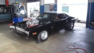 1600HP!!! Dodge Challenger Dyno Run [Australia]