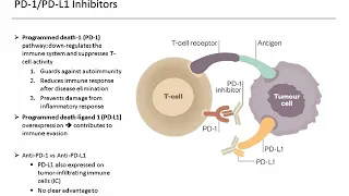 Immuno-Oncology: A Deep Dive into Non-Small Cell Lung Cancer