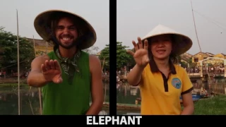 VIETNAMESE SIGN LANGUAGE - 19 ANIMAL WORDS