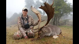 Outdoor Quest TV New Zealand Fallow Deer Hunt