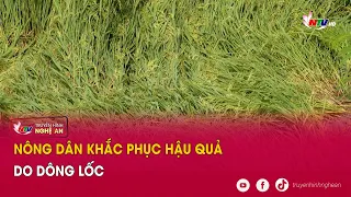 Nông dân khắc phục hậu quả do dông lốc