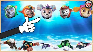 PAW Patrol Aqua Pups | Match The Head | Video For Kids #PawPawGo