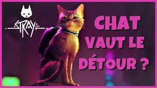 STRAY le TEST COMPLET : Alors CHAT donne QUOI ?