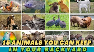 15 ANIMALS YOU CAN KEEP IN YOUR BACKYARD WITH TIPS HOW TO RAISE THEM!