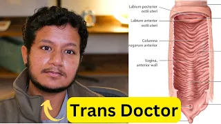 Vaginal Changes on Testosterone #TransHealth