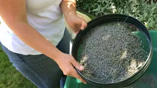 Preparing And Making Lavender Sachets