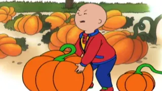 Caillou és a tök | Caillou Magyarul - WildBrain