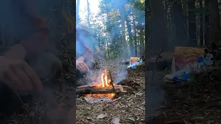 Massive Debris Hut Shelter Overnight Build