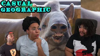 You've NEVER Seen Animals Like This Before | Casual Geographic Reaction ft. Chavezz