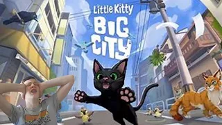 Little Kitty Big City (yapping ducks included)