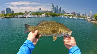 Big City Bassin' | Fishing Downtown Chicago | Catching My First Smallmouth! w/ @reelfeelfishing