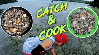 Picking seashells.(catch & cook) Sarap ng buhay sa isla.|Ep.15| #SibaleIslandConcepcionRomblon.